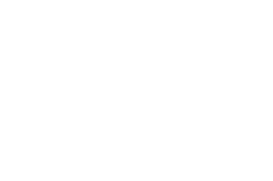T-Systems – Logo